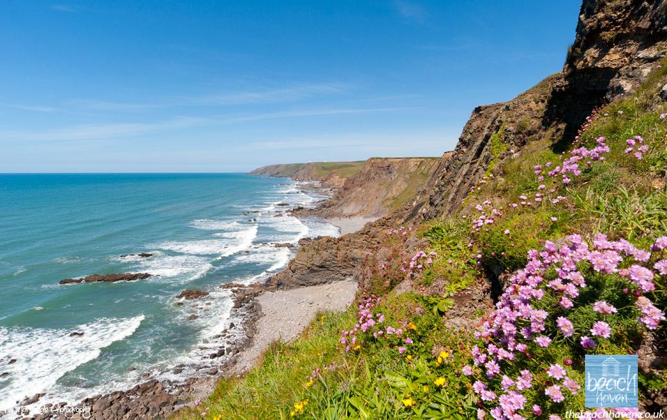 Looking up the coast to Sandymouth and Duckpool from Menachurch Point.