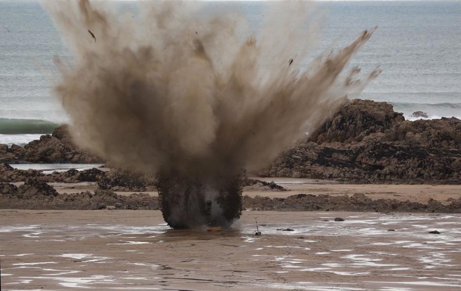 Thar she blows!
