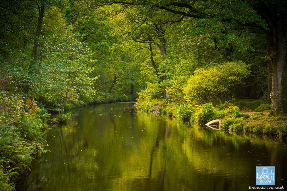 River Teign near Fingle Bridge.